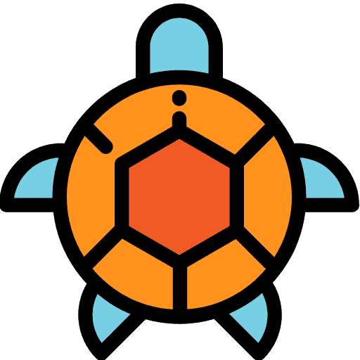 Tortugas Exóticas